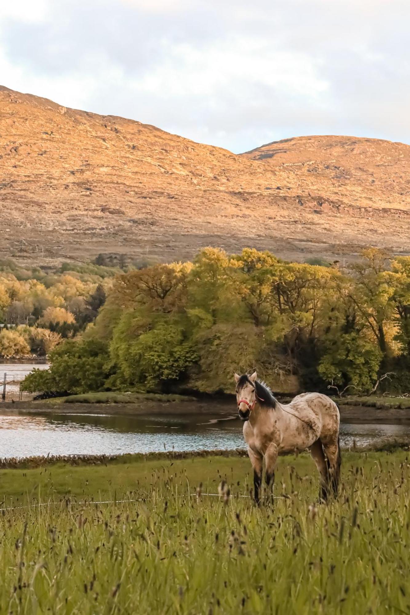 Park Hotel Kenmare Luaran gambar